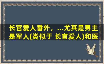 长官爱人番外，…尤其是男主是军人(类似于 长官爱人)和医生的书。